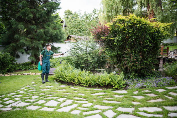 Wasp Removal Services in Gaithersburg, MD