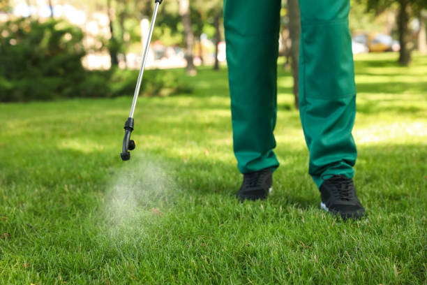 Best Rat Extermination Near Me  in Gaithersburg, MD