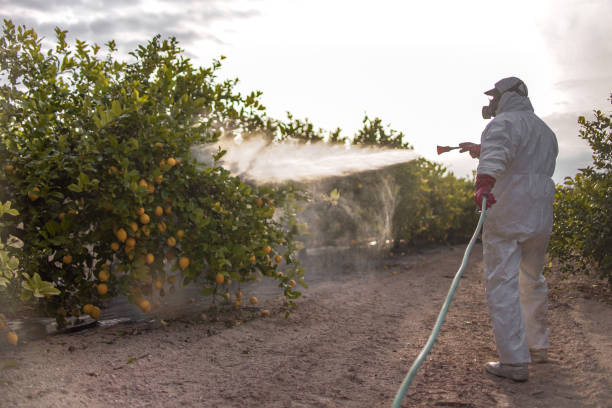 Trusted Gaithersburg, MD Pest Control Experts