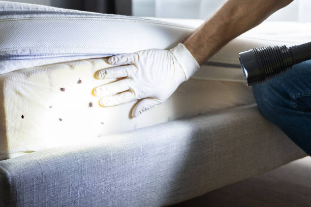 Best Wasp Removal Services  in Gaithersburg, MD