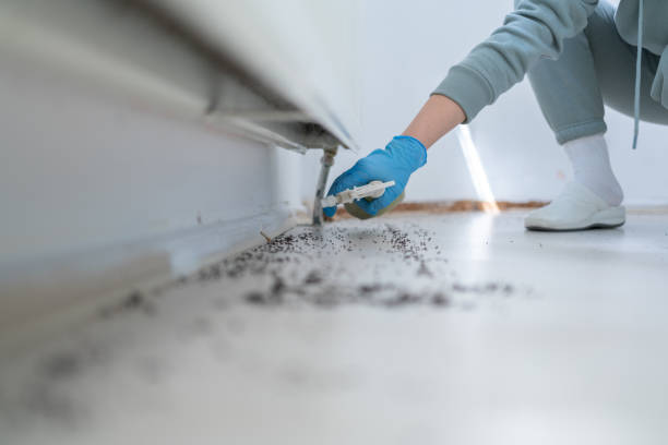 Best Pest Inspection Near Me  in Gaithersburg, MD